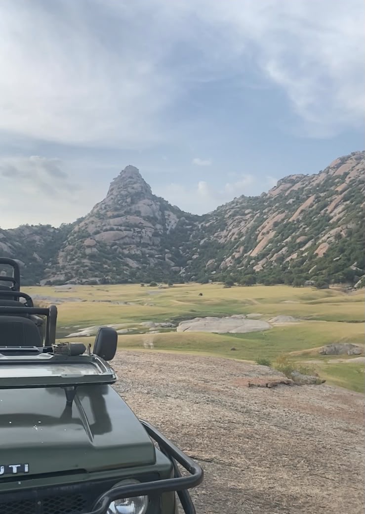 Safari jeep in the granite country home to Jawai’s sloth bears