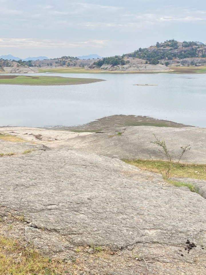 The Jawai Bandh wetland where flamingos and waterbirds gather